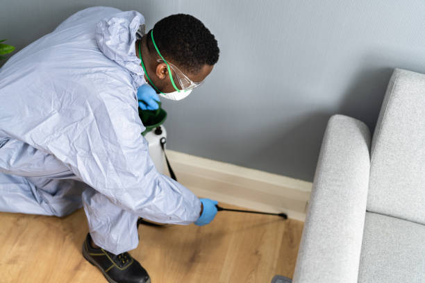 Professional Pest Control in Sioux City, IA